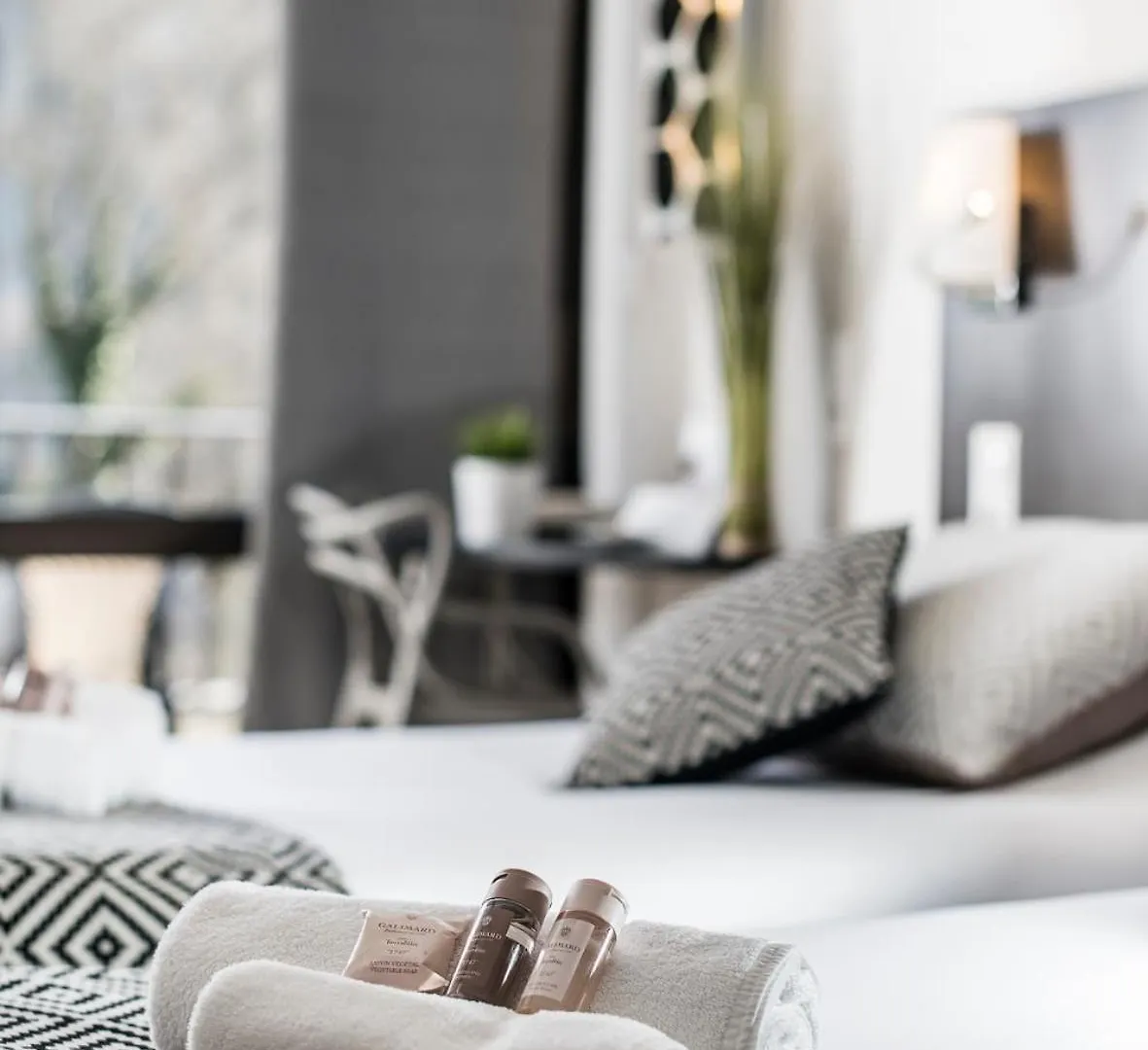 Domaine Lou Capitelle&Spa Vogue 4*,